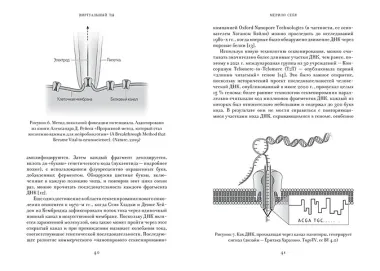 Виртуальный ты. Как создание цифровых близнецов изменит будущее человечества