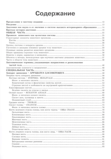 Анатомия домашних животных