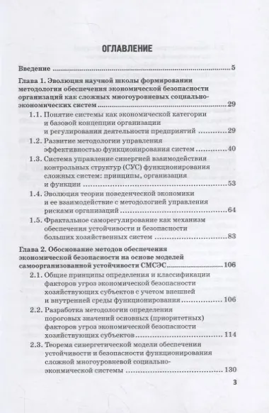 Методология совершенствования системы экон.безоп.орг. на основе риск-ориент. подхода. Монография