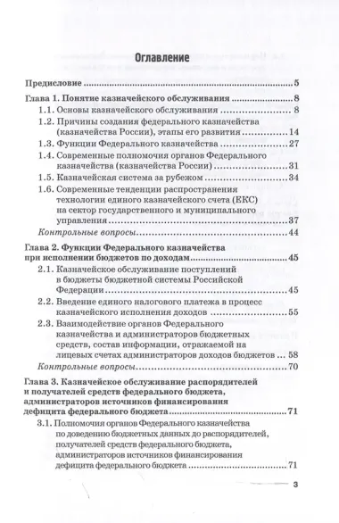 Казначейское обслуживание в государственном и муниципальном секторе: Учебное пособие