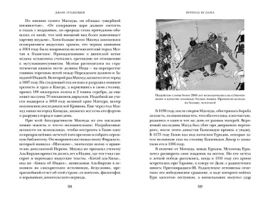 Индия. Краткая история. От древнейшей цивилизации до наших дней