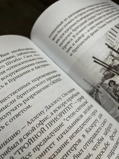 28 мгновений весны 1945 года. Иллюстрированная версия