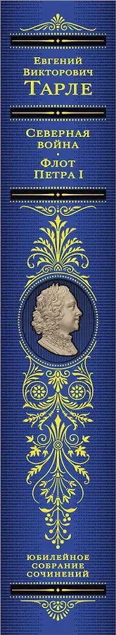Северная война. Флот Петра I