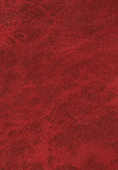 Наука побеждать