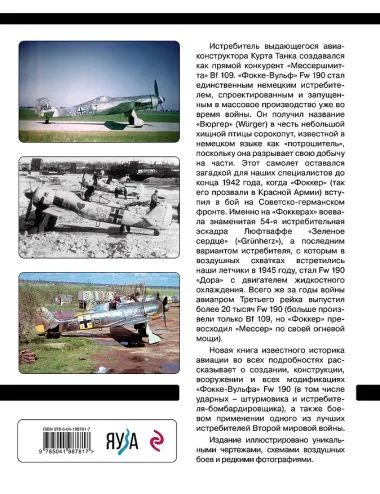 Истребитель «Фокке-Вульф» Fw 190. Легендарный «потрошитель» Люфтваффе