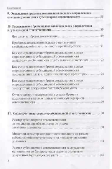 Субсидиарная ответственность в РФ (Рыков)