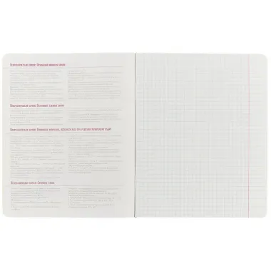 Тетрадь предметная в клетку Альт, 