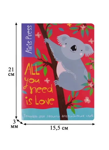 Тетрадь для записи английских слов Айрис, 