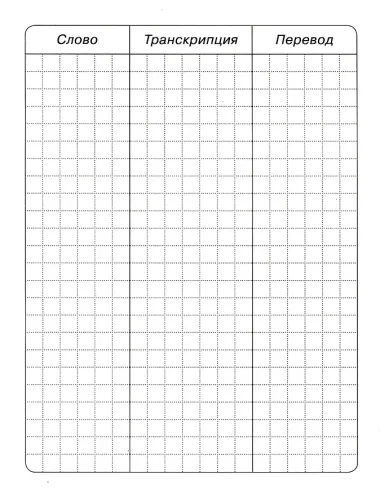 Тетрадь для записи английских слов Айрис, 