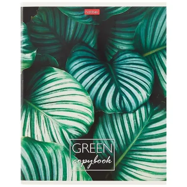 Тетрадь в клетку Hatber, MOREgreen, 96 листов, в ассортименте