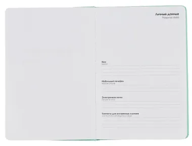 Ежедневник недат. А5 128л 