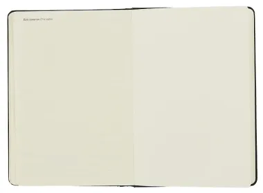 Ежедневник недат. А5 96л 