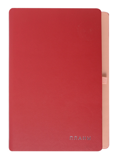 Ежедневник недатированный 