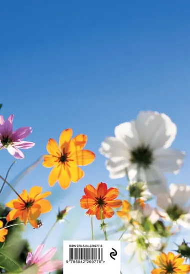 Ежедневник недат. А5 72л 