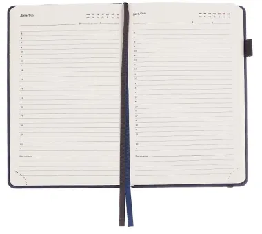 Ежедневник недатированный 