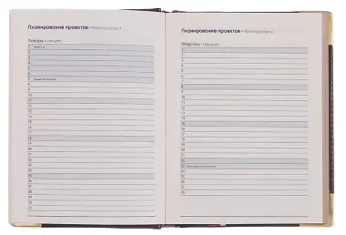 Ежедневник датированный 2026 год, А6, 176 листов, 