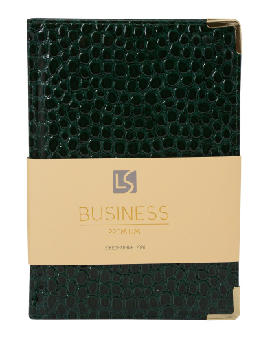 Ежедневник датированный 2026 год, А5, 176 листов, 