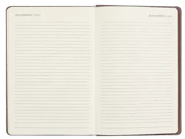 Ежедневник дат. 2025г. А5 176л 