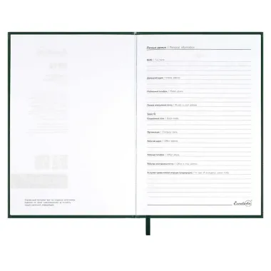 Ежедневник датированный 2026 год, А5, 176 листов, 