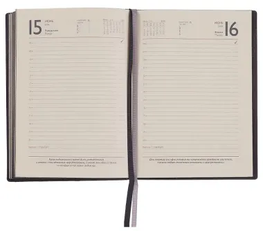 Ежедневник датированный 2026 год, А6+, 176 листов, 