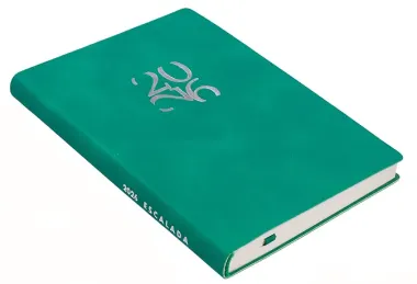 Ежедневник датированный 2026 год, А6, 120 листов, 