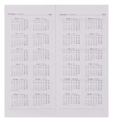 Еженедельник датированный 2026 год, 64 листа, 80х165 мм 