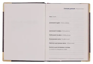 Ежедневник датированный 2026 год, А6, 176 листов, 