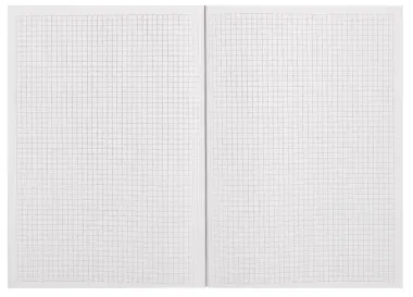 Книга для записей А4 100л кл. 