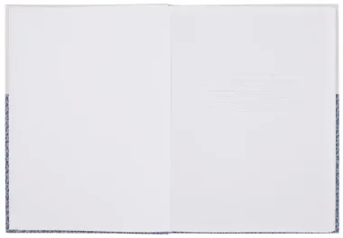 Книга для записей А4 100л кл. 