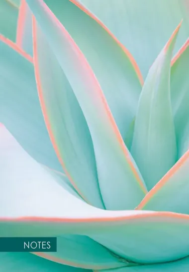 Книга для записей «Aloe», А5, 100 листов, Listoff