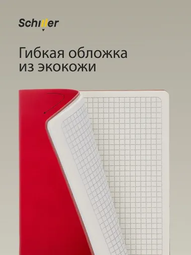 Книга для записей, А5, 100 листов, с ляссе, Schiller