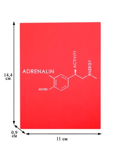 Записная книжка А6 80л лин. 