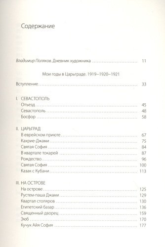 Мои годы в Царьграде. 1919-1920-1921. Дневник художника