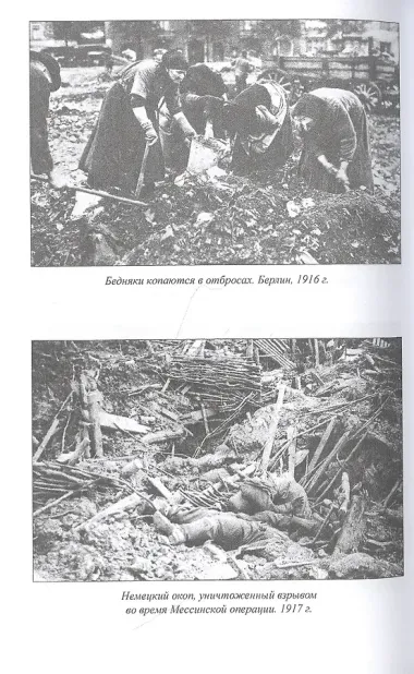 В дни мировой войны. Мемуары министра иностранных дел Австро-Венгрии