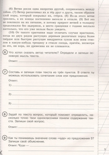 Русский язык за курс начальной школы. Интенсивный курс подготовки к ВПР