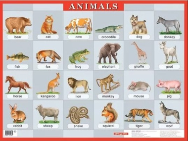 Животные : Animals : наглядное пособие