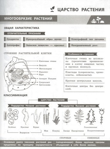 Биология в инфографике