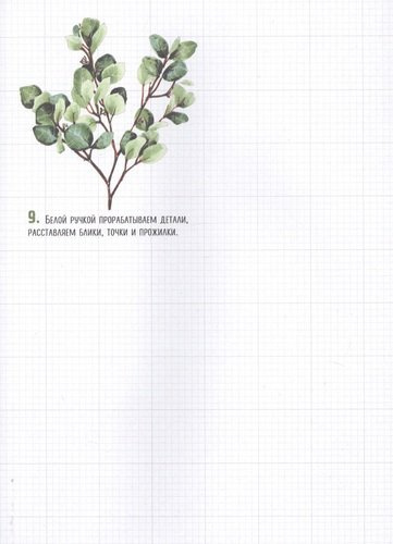 Скетчбук по ботанической иллюстрации. От простого к сложному