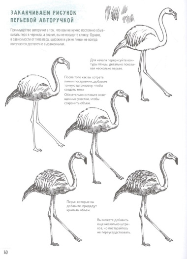 Создаем наброски животных и птиц шаг за шагом: 50 проектов с подробными объяснениями и рисунками + чистые страницы для рисования