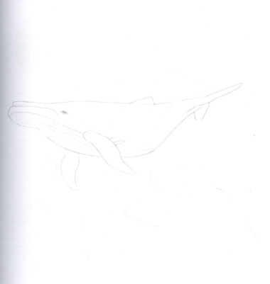 Рисуем акварелью. Подводный мир и его обитатели