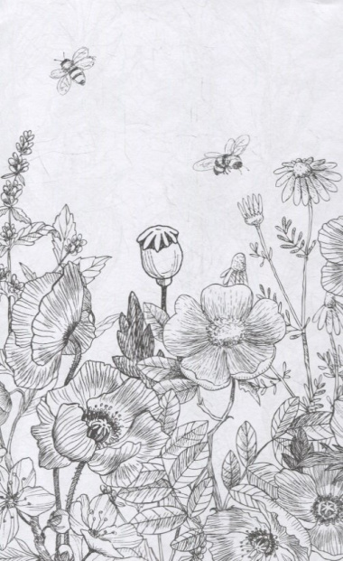 Зачарованный сад: мини-раскраска-антистресс для творчества и вдохновения