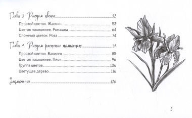 Скетчбук по ботанической иллюстрации. Простые пошаговые уроки по рисованию цветов и растений