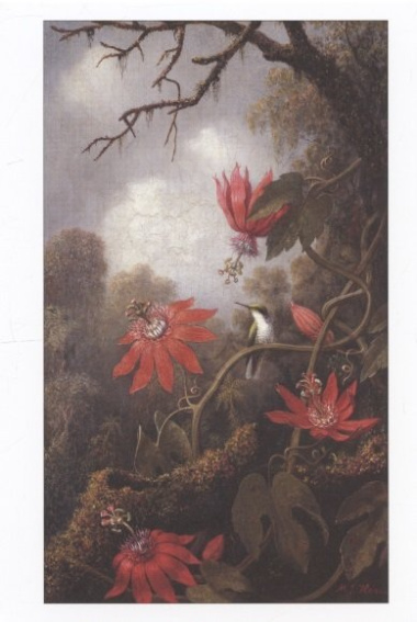 Мартин Джонсон Хид. Цветы (набор открыток)