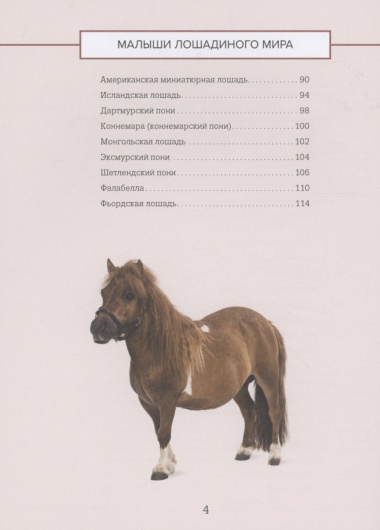 Лошади. Иллюстрированный гид по самым популярным породам