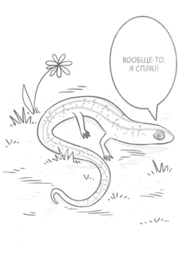 ЖЕСТь рептилий. Как понимать язык хладнокровных