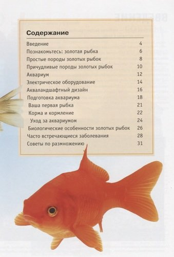 Золотые рыбки. Содержание и уход (цвет.)