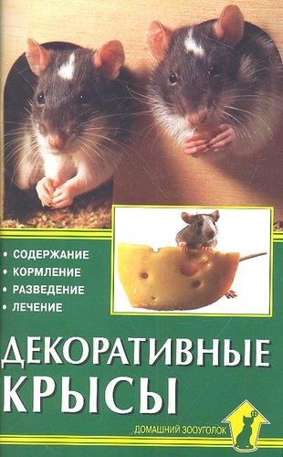 Декоративные крысы