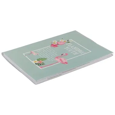 Тетрадь в линейку AnAn, Flamingo youth, 60 листов, в ассортименте