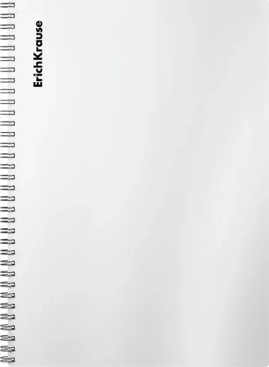 Тетрадь в клетку Erich Krause, Candy, А4, 80 листов, серебряный перламутр