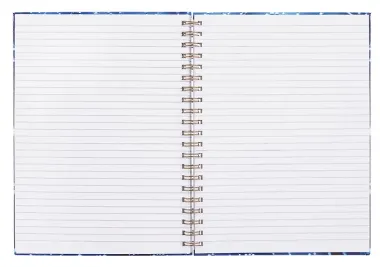 Тетрадь А4 120л лин. 